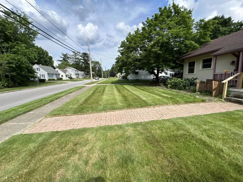 beautiful grass lines in front of customers house in cuyahoga falls ohio